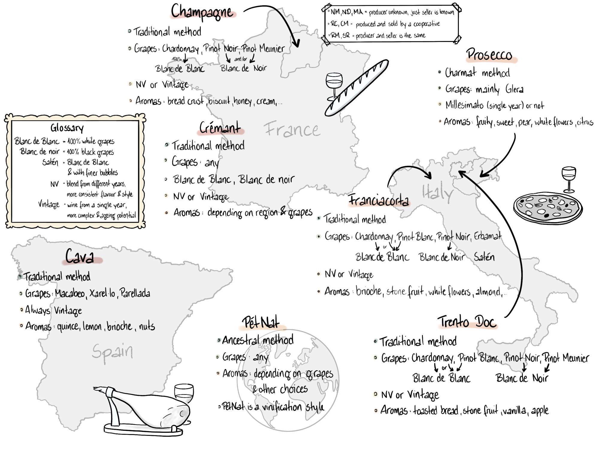 Sketchnote zum Thema Herkunft und Eigenschaft von Weinen. Sketchnote zum Thema Herkunft und Eigenschaft von Weinen.